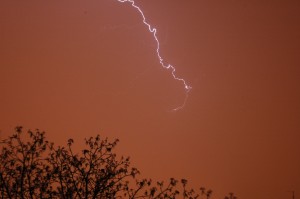 ROSALIECOMPUTER - Scan_20140827